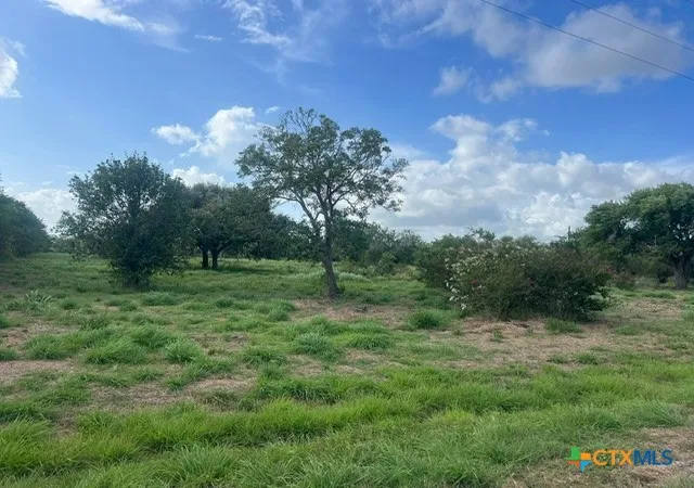 Photo 5 of Land for sale at 248 Davis Ln, Victoria, TX 77905 | MLS# 619859 | Listing updated on 2026-07-17