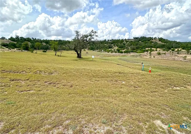 2nd image of 1644 Cottonwood Mesa Dr, Kempner, TX 76539 | MLS# 619863