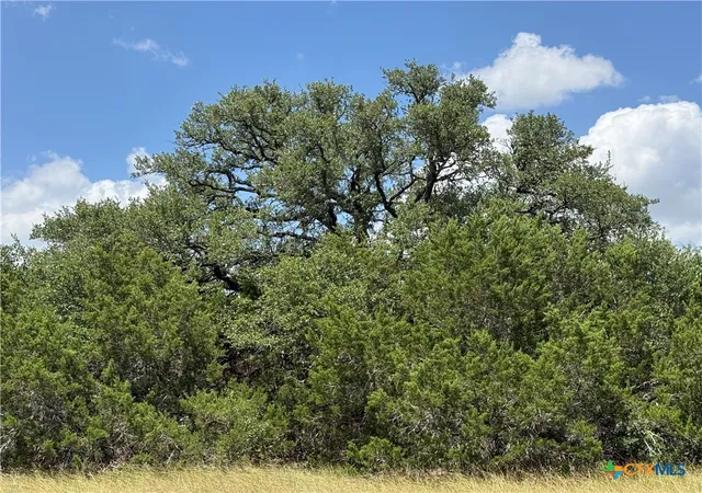 Photo 3 of Land for sale at 1074 Kenton Pkwy, Salado, TX 76571 | MLS# 620013 | Listing updated on 2026-07-18