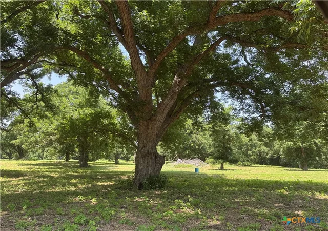 4th image of 00 B And B, Seguin, TX 78155 | MLS# 619939
