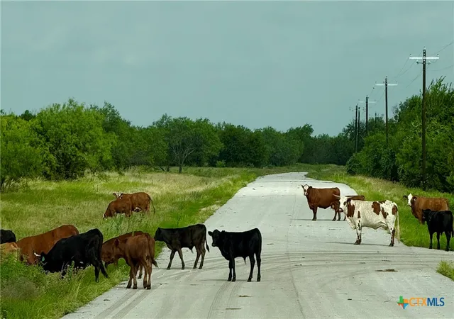 2nd image of 0 Pitchfork Ranch Rd, Copperas Cove, TX 76522 | MLS# 620107