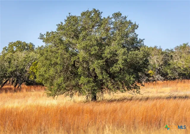 Photo 1 of Land for sale at 1260 County Rd 2001, Lampasas, TX 76550 | MLS# 620165 | Listing updated on 2026-07-21
