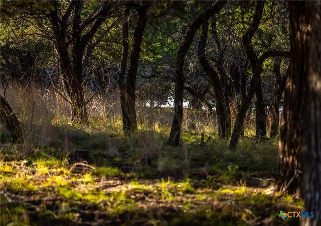 Photo 2 of Land for sale at 1260 County Rd 2001, Lampasas, TX 76550 | MLS# 620165 | Listing updated on 2026-07-21