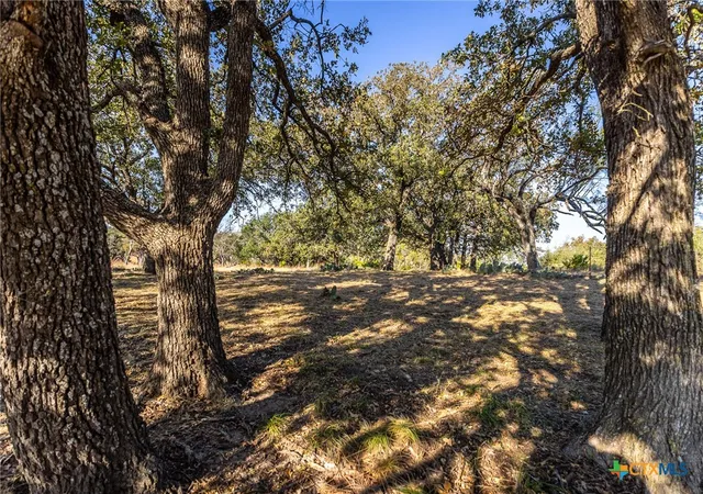 Photo 2 of Land for sale at 1260 County Rd 2001, Lampasas, TX 76550 | MLS# 620165 | Listing updated on 2026-07-21