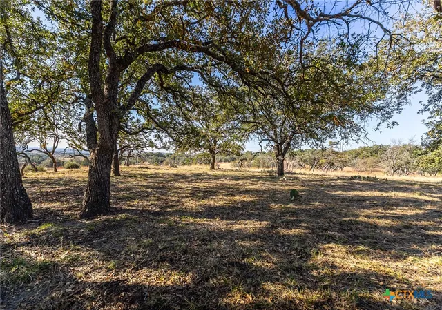 Photo 3 of Land for sale at 1260 County Rd 2001, Lampasas, TX 76550 | MLS# 620165 | Listing updated on 2026-07-21