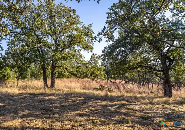 Photo 4 of Land for sale at 1260 County Rd 2001, Lampasas, TX 76550 | MLS# 620165 | Listing updated on 2026-07-21
