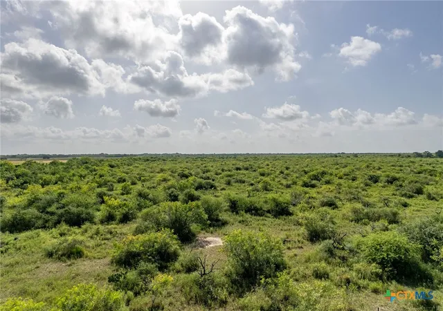 4th image of 40 Acres Hwy 172, Port Lavaca, TX 77979 | MLS# 620273