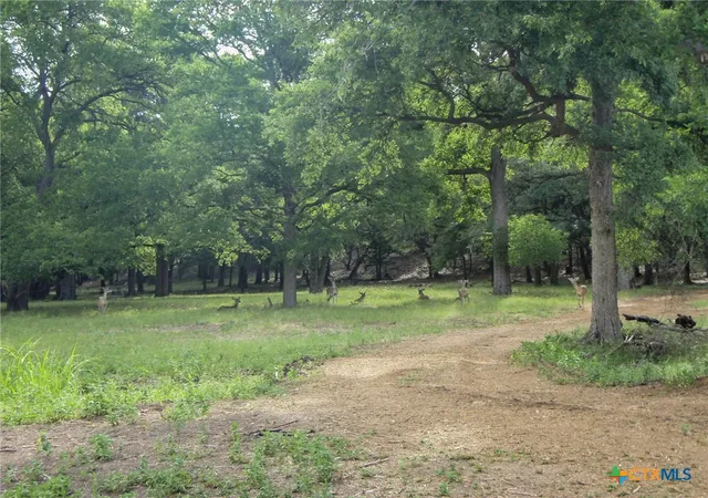 Photo 18 of Land for sale at 1613 Bella Vista, Canyon Lake, TX 78133 | MLS# 620173 | Listing updated on 2026-07-22