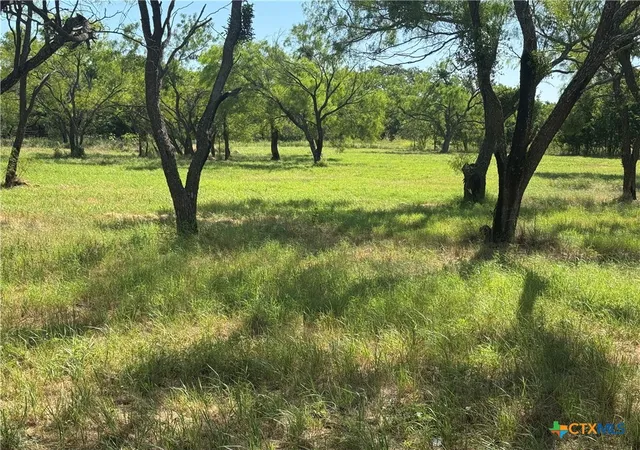 4th image of Lot 1 N Sixth St, Bangs, TX 76823 | MLS# 620340