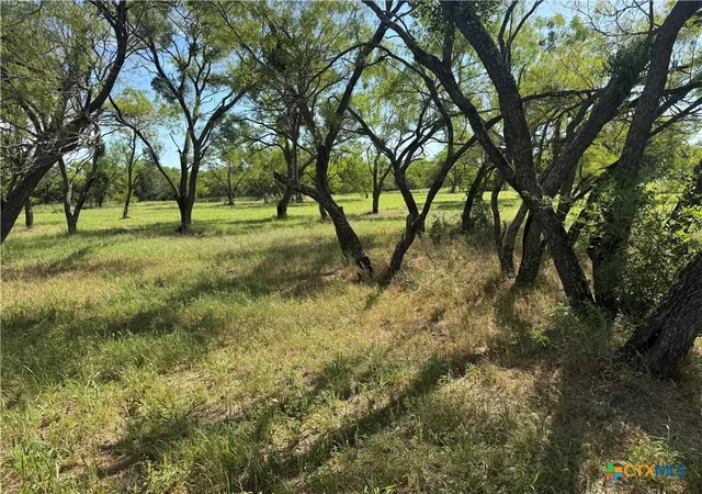 4th image of Lot 2 N Sixth St, Bangs, TX 76823 | MLS# 620394