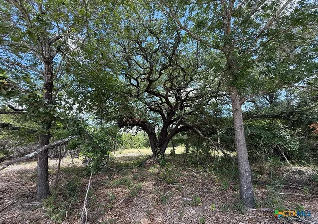 Photo 3 of Land for sale at 1092 Kenton Pkwy, Salado, TX 76571 | MLS# 620403 | Listing updated on 2026-07-22