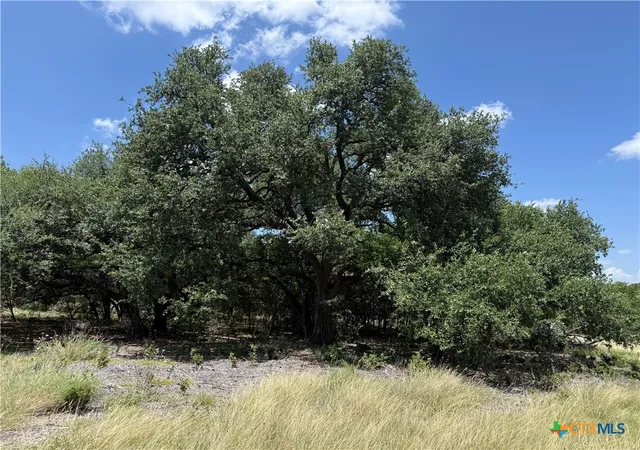 Photo 2 of Land for sale at 1238 Gannon Trl, Salado, TX 76571 | MLS# 620471 | Listing updated on 2026-07-23