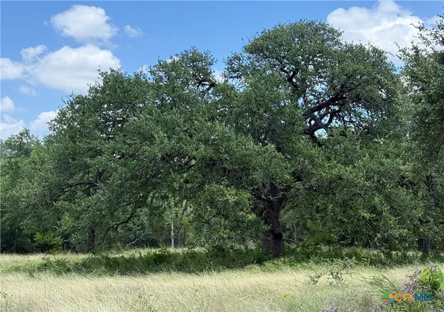 Photo 3 of Land for sale at 1238 Gannon Trl, Salado, TX 76571 | MLS# 620471 | Listing updated on 2026-07-23