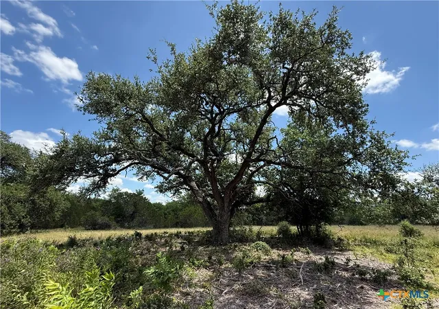 Photo 4 of Land for sale at 1238 Gannon Trl, Salado, TX 76571 | MLS# 620471 | Listing updated on 2026-07-23