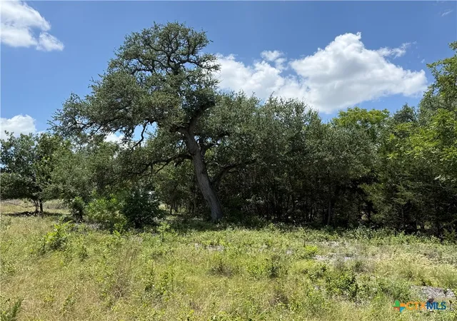 Photo 3 of Land for sale at 1219 Gannon Trl, Salado, TX 76571 | MLS# 620479 | Listing updated on 2026-07-23