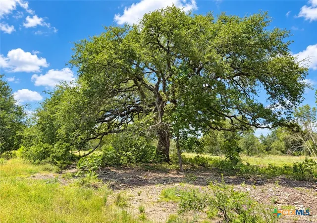 Photo 3 of Land for sale at 1219 Gannon Trl, Salado, TX 76571 | MLS# 620479 | Listing updated on 2026-10-02