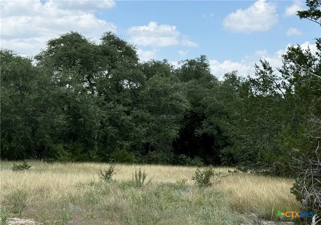 Photo 3 of Land for sale at 1219 Gannon Trl, Salado, TX 76571 | MLS# 620479 | Listing updated on 2026-07-23