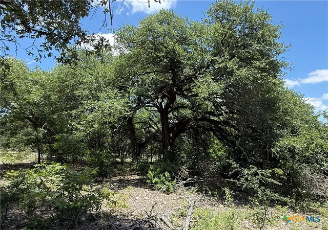 Photo 4 of Land for sale at 1219 Gannon Trl, Salado, TX 76571 | MLS# 620479 | Listing updated on 2026-07-23