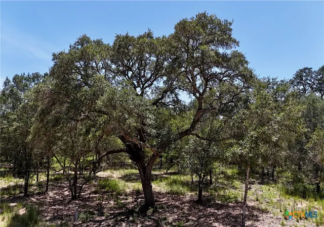 3rd image of 182 County Road 123F, Hallettsville, TX 77964 | MLS# 620539