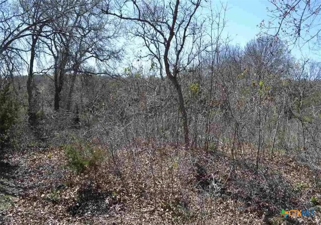 Photo 3 of Land for sale at 9217 Troll Holw, Belton, TX 76513 | MLS# 620100 | Listing updated on 2026-07-25