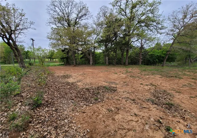 2nd image of 160 Arbor Hill Wy, Cedar Creek, TX 78612 | MLS# 620766