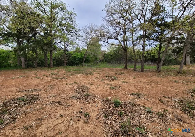 3rd image of 160 Arbor Hill Wy, Cedar Creek, TX 78612 | MLS# 620766
