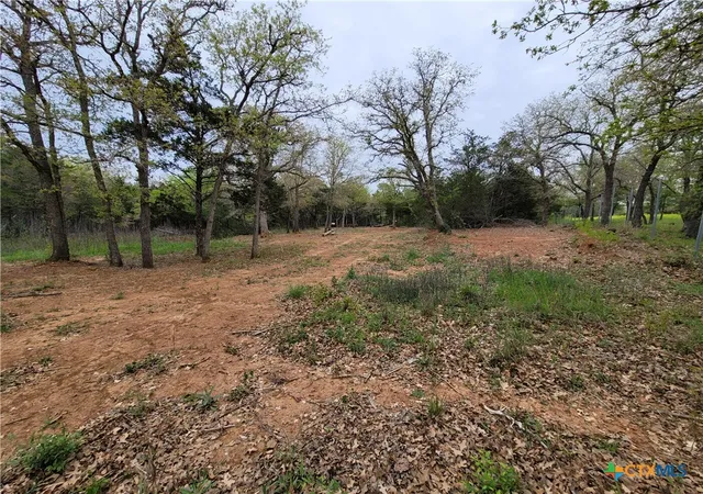 4th image of 160 Arbor Hill Wy, Cedar Creek, TX 78612 | MLS# 620766
