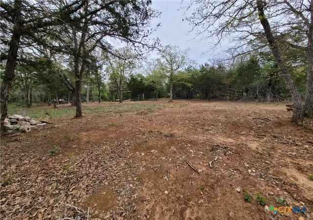 5th image of 160 Arbor Hill Wy, Cedar Creek, TX 78612 | MLS# 620766