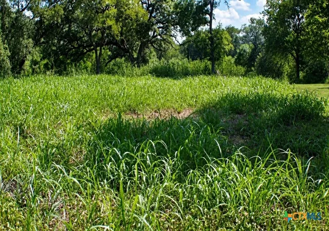 5th image of Lot 5 N Blk Ave, Waelder, TX 78959 | MLS# 620722
