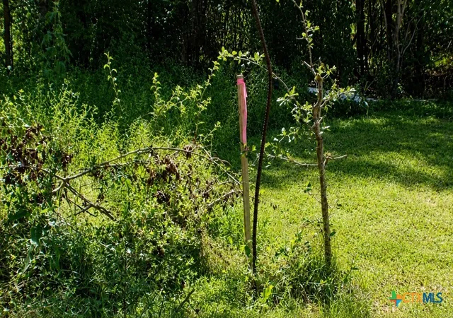 7th image of Lot 5 N Blk Ave, Waelder, TX 78959 | MLS# 620722