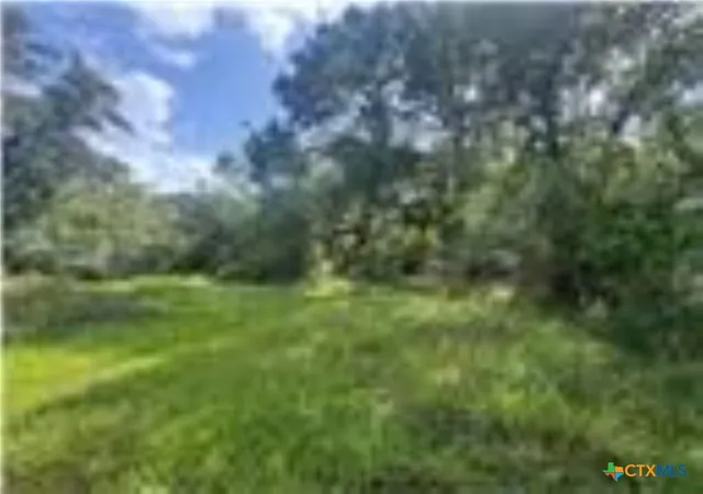 1st image of 0 Dewberry Ln, Louise, TX 77455 | MLS# 621067