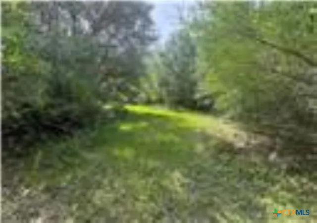 2nd image of 0 Dewberry Ln, Louise, TX 77455 | MLS# 621067