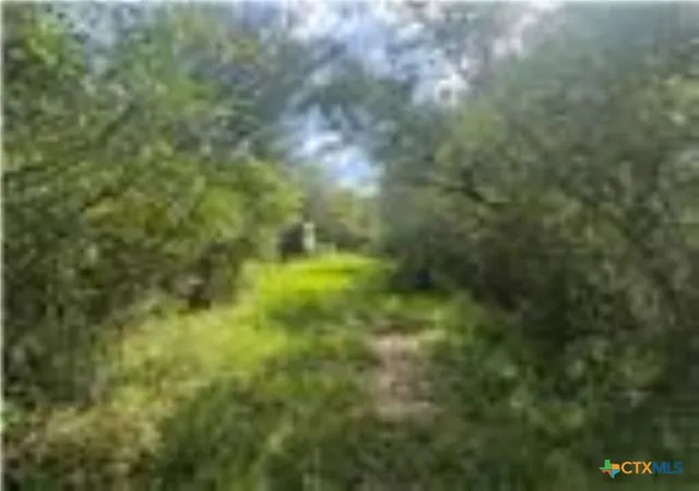 3rd image of 0 Dewberry Ln, Louise, TX 77455 | MLS# 621067