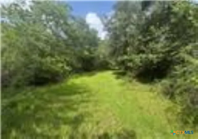 4th image of 0 Dewberry Ln, Louise, TX 77455 | MLS# 621067