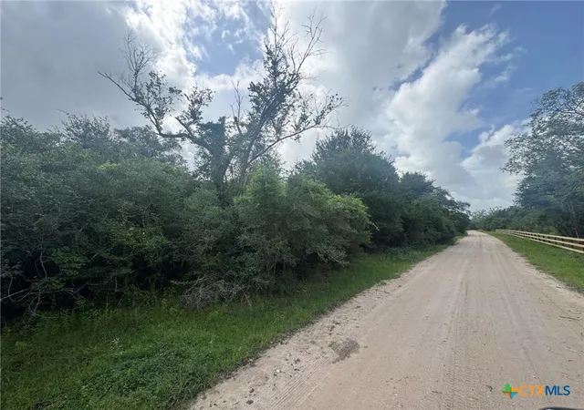 5th image of 0 Dewberry Ln, Louise, TX 77455 | MLS# 621067