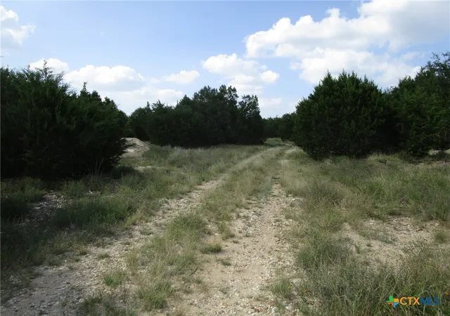 12th image of 3246 Hawthorne Rd, Spring Branch, TX 78070 | MLS# 621056