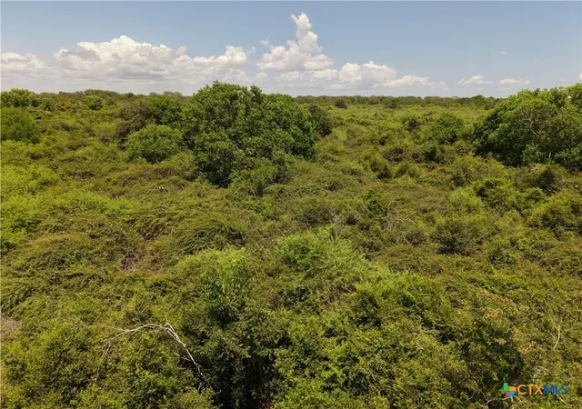 Photo 3 of Land for sale at Tbd Cr 302, Port Lavaca, TX 77979 | MLS# 621284 | Listing updated on 2026-08-01