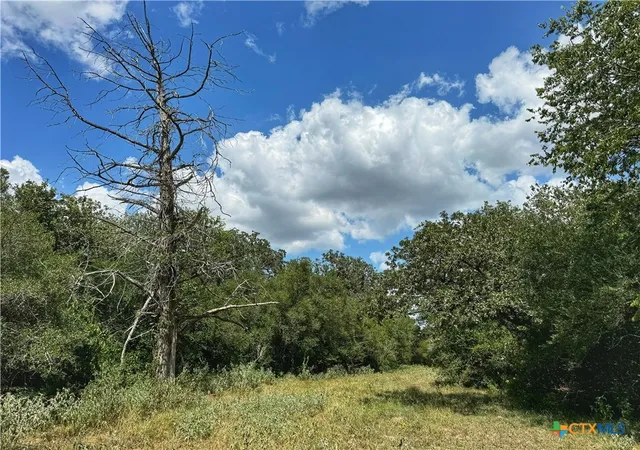 Photo 3 of Sale Pending at Tbd 1024 Acres Hwy 304, Harwood, TX 78632 | MLS# 621292 | Listing updated on 2026-10-01