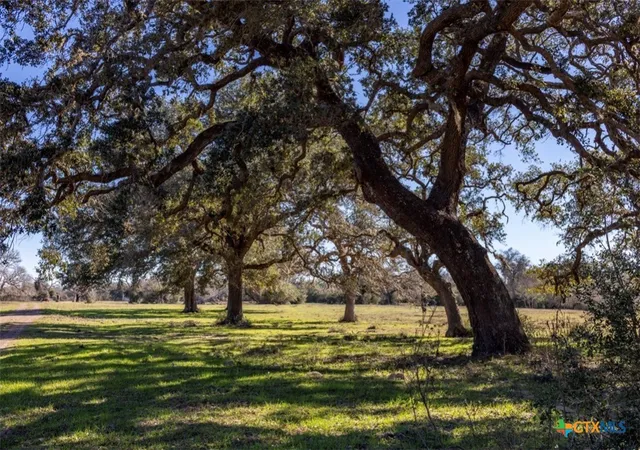 Photo 2 of Land for sale at 0000 County Rd 284, Edna, TX 77957 | MLS# 625637 | Listing updated on 2026-09-19