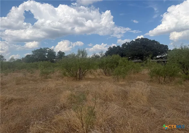 Photo 3 of Land for sale at 246 Old Waco Rd, Gatesville, TX 76528 | MLS# 625202 | Listing updated on 2026-09-19
