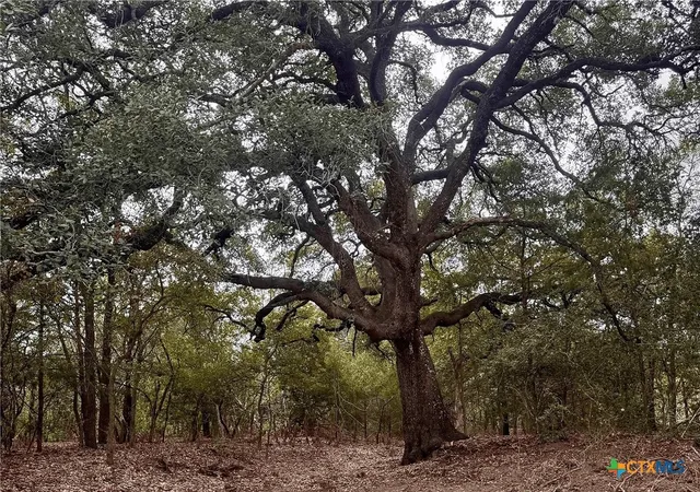 Land for sale at 12 Acres Mt Pleasant Rd, Cedar Creek, TX 78612 | MLS# 625656