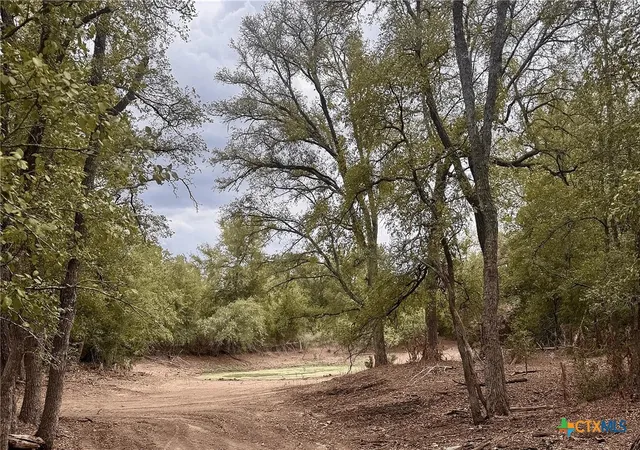 Photo 1 of Land for sale at 12 Acres Mt Pleasant Rd, Cedar Creek, TX 78612 | MLS# 625656 | Listing updated on 2026-09-21
