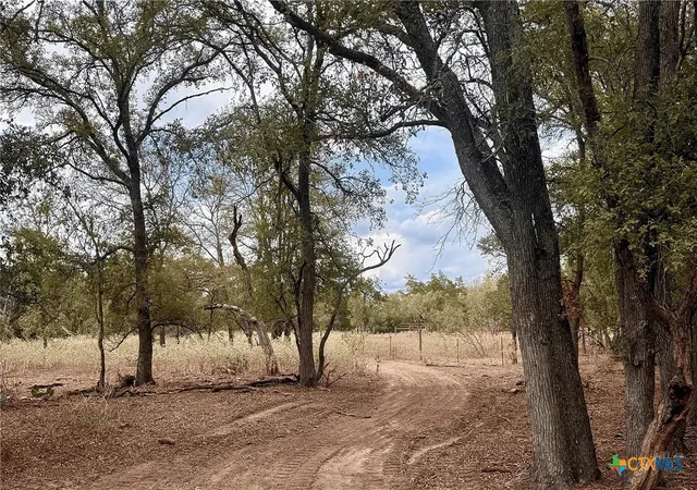 Photo 3 of Land for sale at 12 Acres Mt Pleasant Rd, Cedar Creek, TX 78612 | MLS# 625656 | Listing updated on 2026-09-21