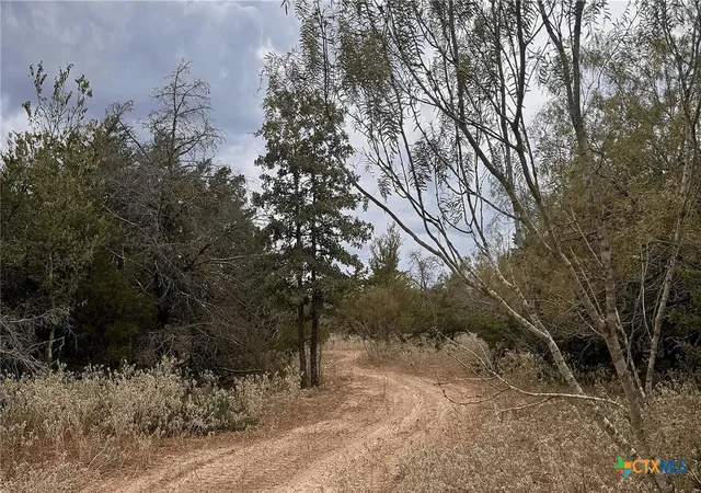 Photo 4 of Land for sale at 12 Acres Mt Pleasant Rd, Cedar Creek, TX 78612 | MLS# 625656 | Listing updated on 2026-09-21