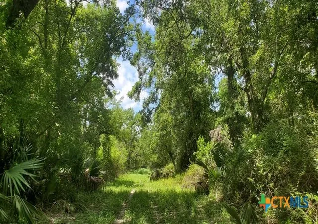 Photo 2 of Land for sale at 2224 Levee Rd, Bloomington, TX 77951 | MLS# 625811 | Listing updated on 2026-09-22