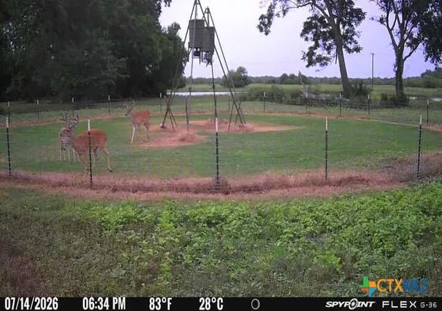 Photo 3 of Land for sale at 2224 Levee Rd, Bloomington, TX 77951 | MLS# 625811 | Listing updated on 2026-09-22