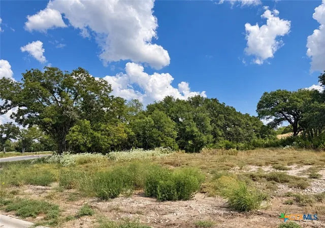 Photo 2 of Land for sale at 209 Lorhan Fls, Belton, TX 76513 | MLS# 626045 | Listing updated on 2026-09-25