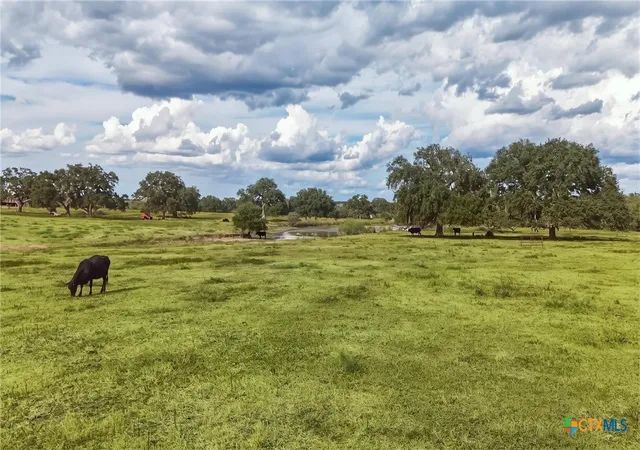 Photo 3 of Land for sale at 43 Rice Rd, Yoakum, TX 77995 | MLS# 625967 | Listing updated on 2026-09-29