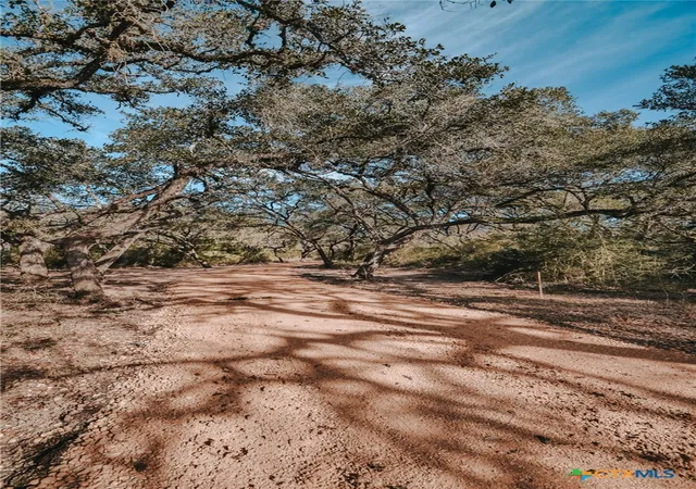 Photo 4 of Land for sale at Tract C Vitek Ln, Inez, TX 77968 | MLS# 626470 | Listing updated on 2026-09-29
