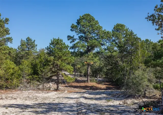 Photo 1 of Sale Pending at 555 Altamira Ln, Dale, TX 78616 | MLS# 626506 | Listing updated on 2026-09-29